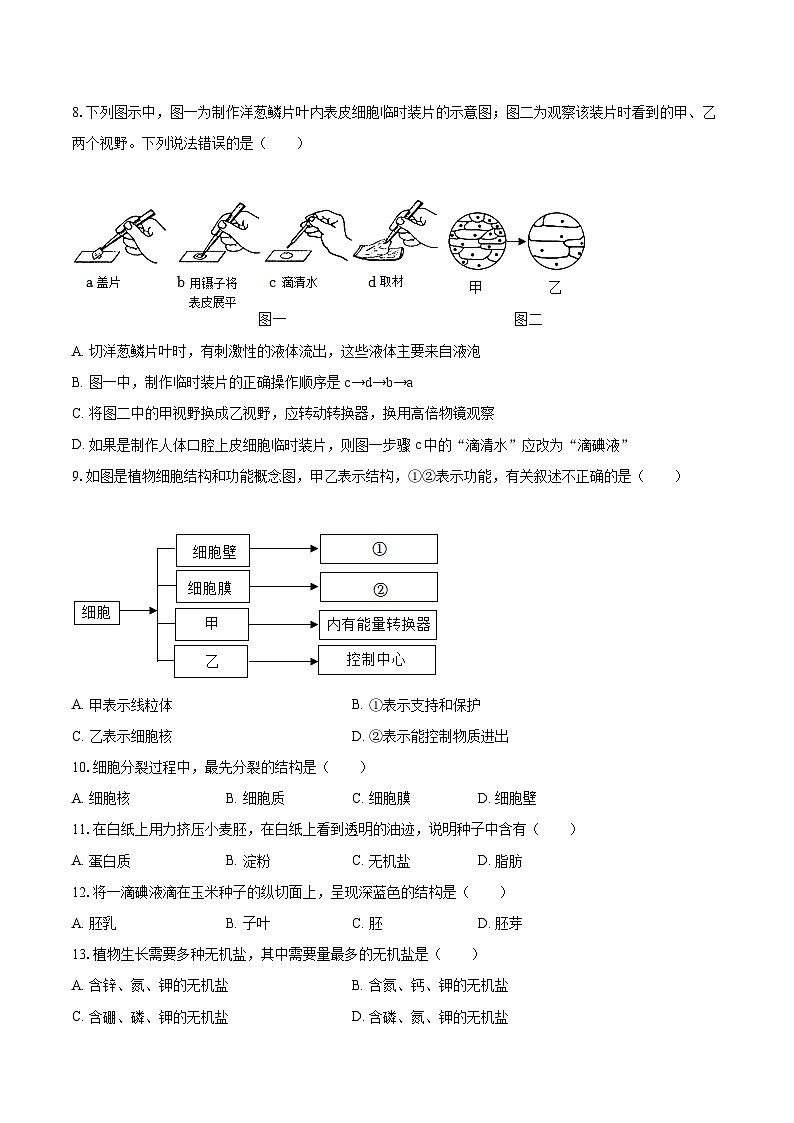 2022-2023学年山东省临沂市蒙阴县七年级（上）期末生物试卷(含答案解析)02