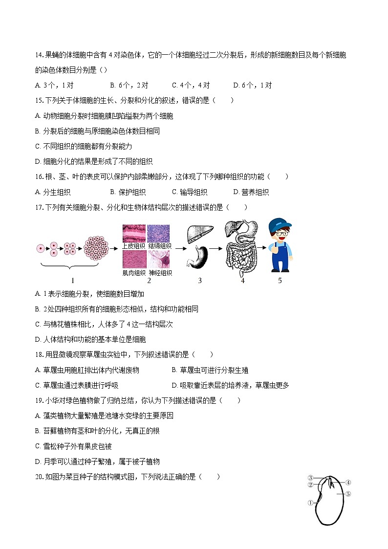 2022-2023学年山东省临沂市蒙阴县七年级（上）期末生物试卷(含答案解析)03