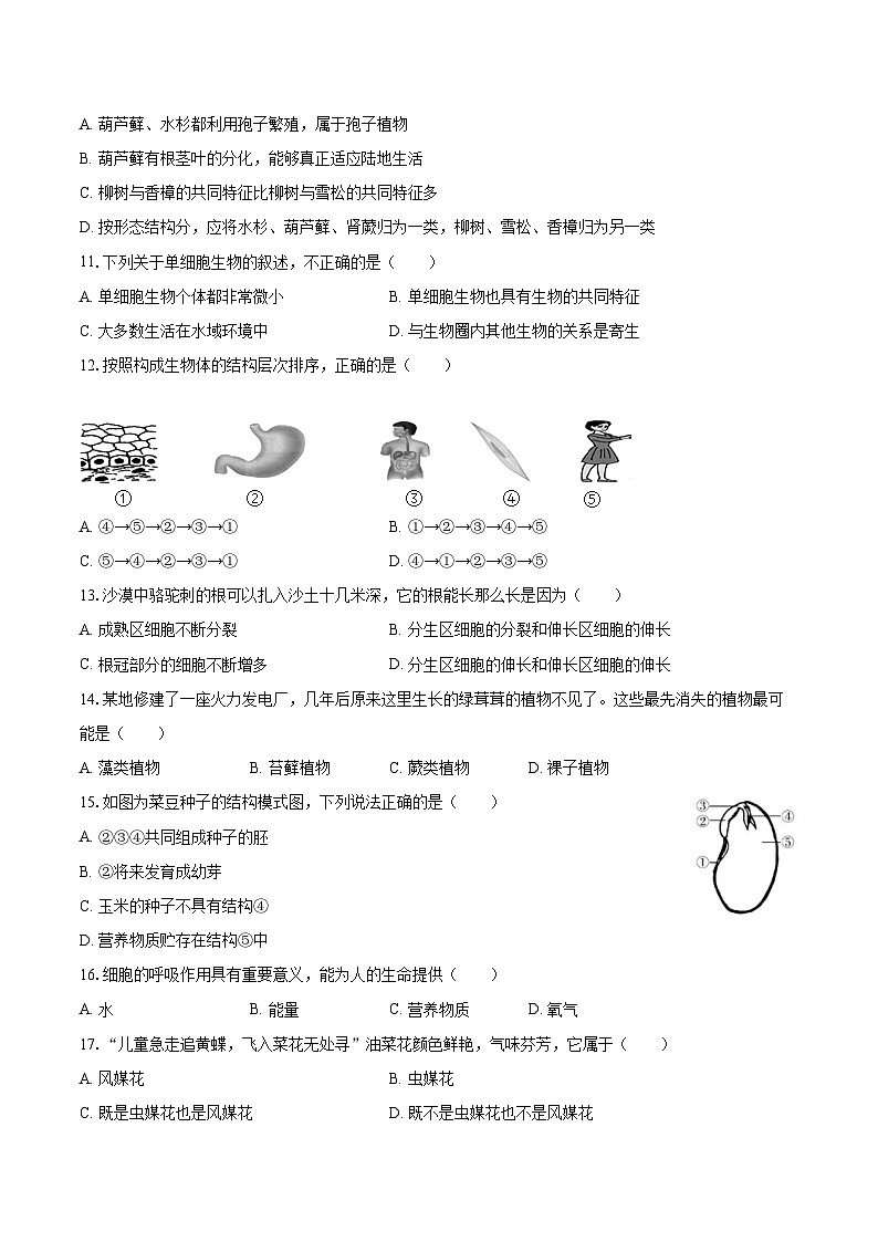 2022-2023学年江西省鹰潭市余江县七年级（上）期末生物试卷(含答案解析)02