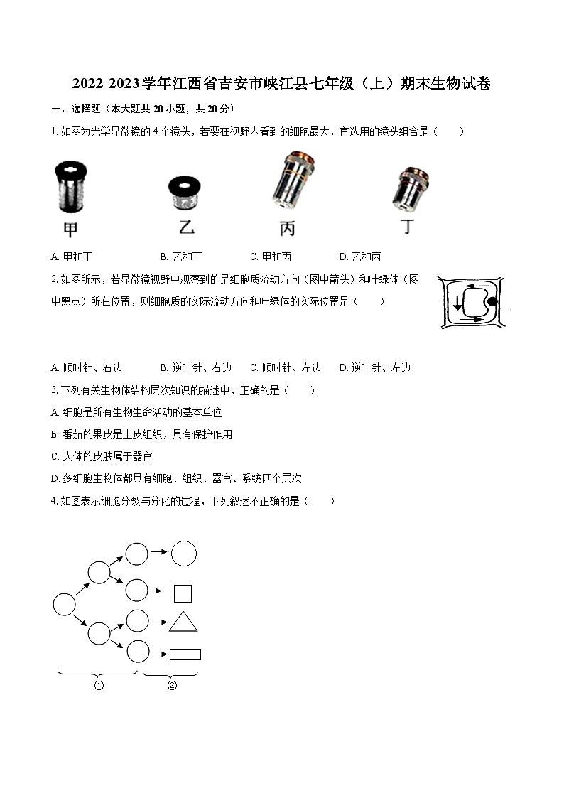 2022-2023学年江西省吉安市峡江县七年级（上）期末生物试卷(含答案解析)01