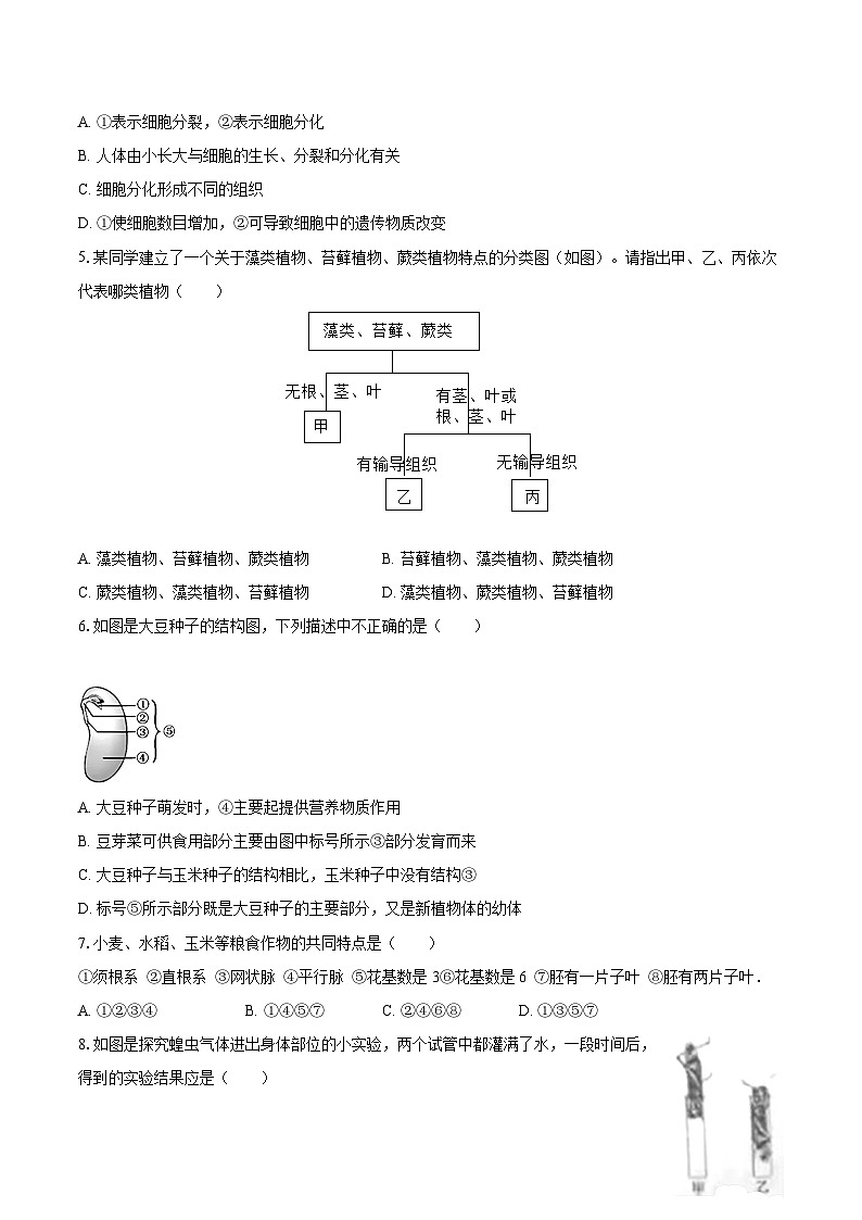 2022-2023学年江西省吉安市峡江县七年级（上）期末生物试卷(含答案解析)02