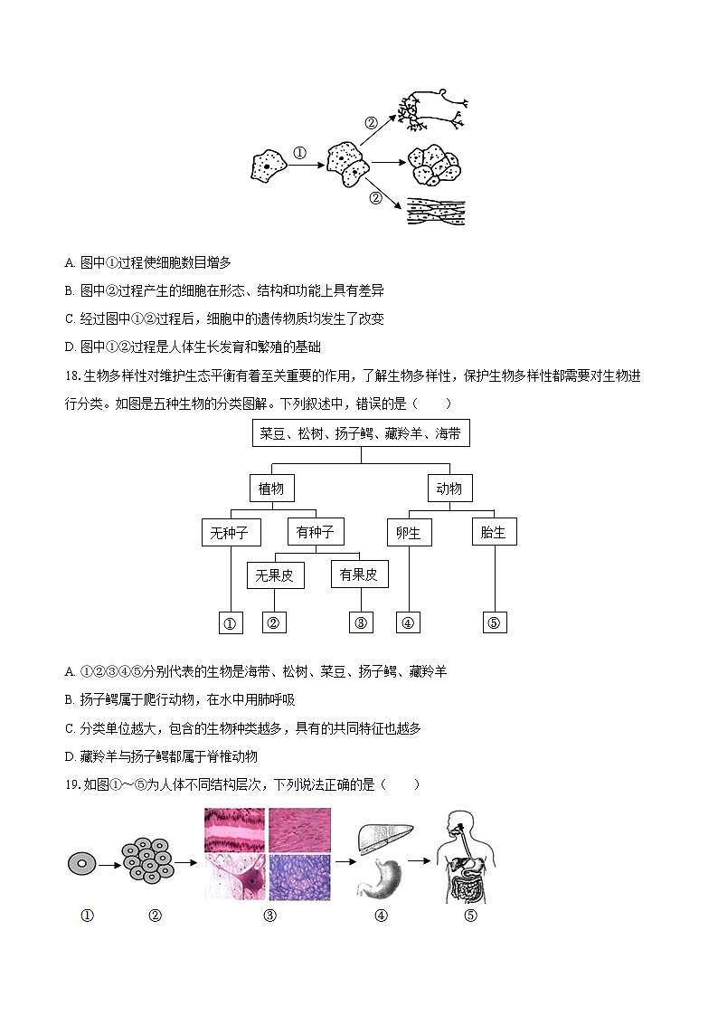 2022-2023学年江西省吉安市永新县七年级（上）期末生物试卷(含答案解析)03