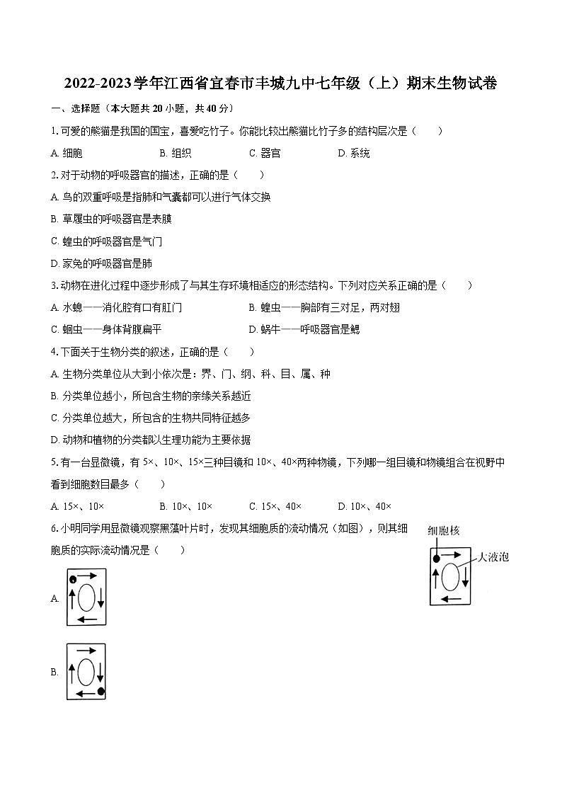 2022-2023学年江西省宜春市丰城九中七年级（上）期末生物试卷(含答案解析)01