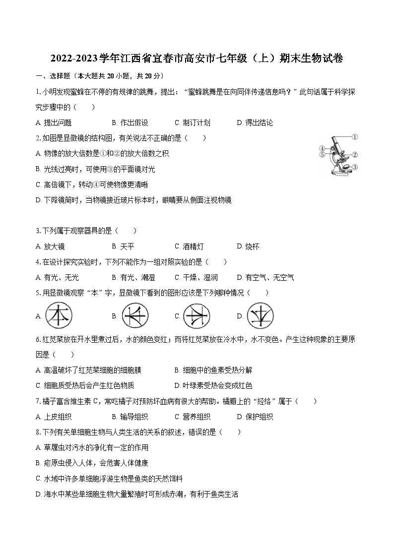 2022-2023学年江西省宜春市高安市七年级（上）期末生物试卷(含答案解析)01