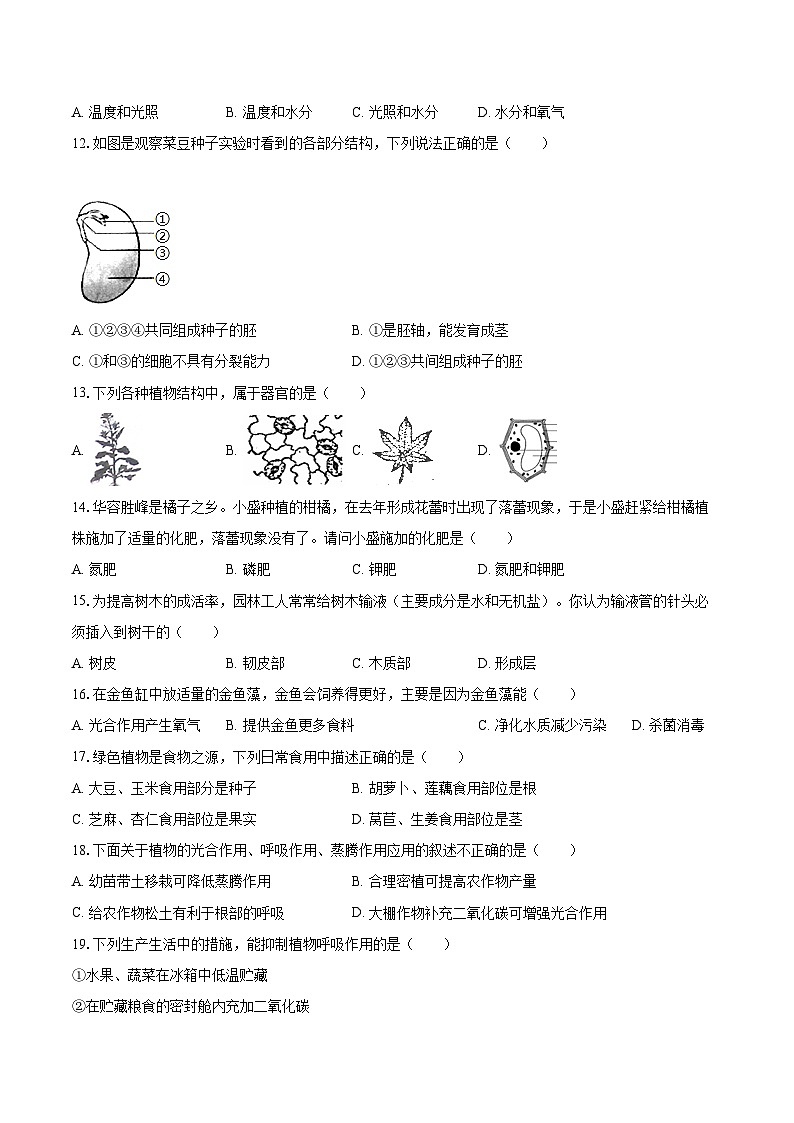 2022-2023学年江苏省盐城市大丰区七年级（上）期末生物试卷（含答案解析）03