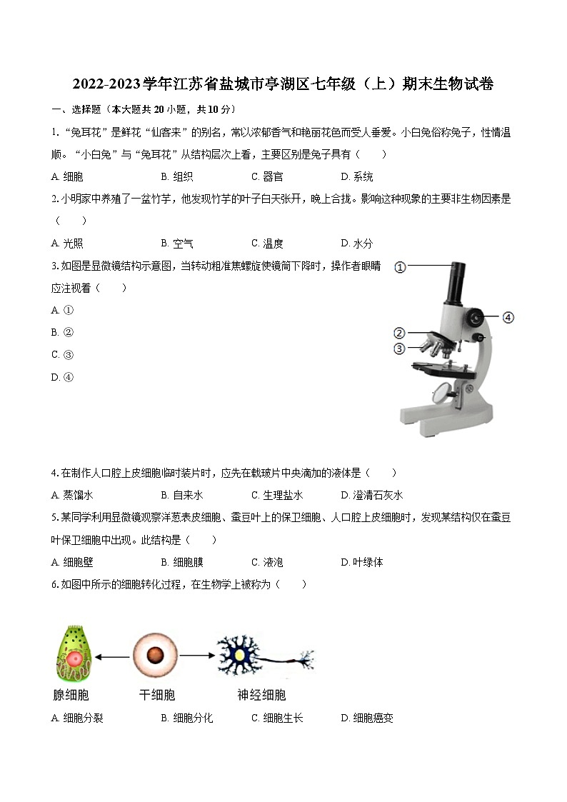2022-2023学年江苏省盐城市亭湖区七年级（上）期末生物试卷（含答案解析）01