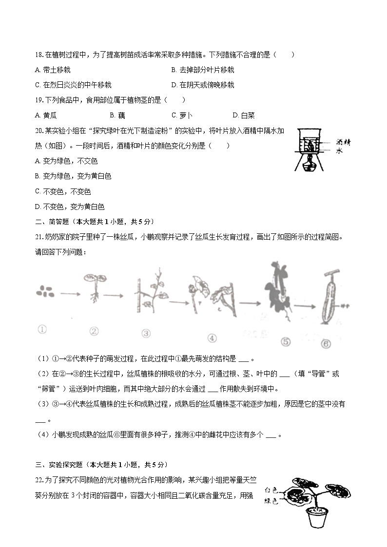 2022-2023学年江苏省盐城市亭湖区七年级（上）期末生物试卷（含答案解析）03
