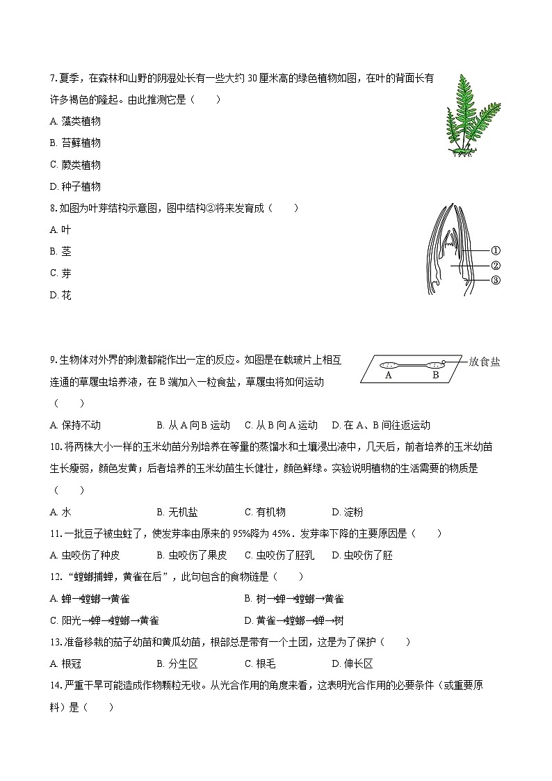 2022-2023学年吉林省延边州七年级（上）期末生物试卷（含答案解析）02