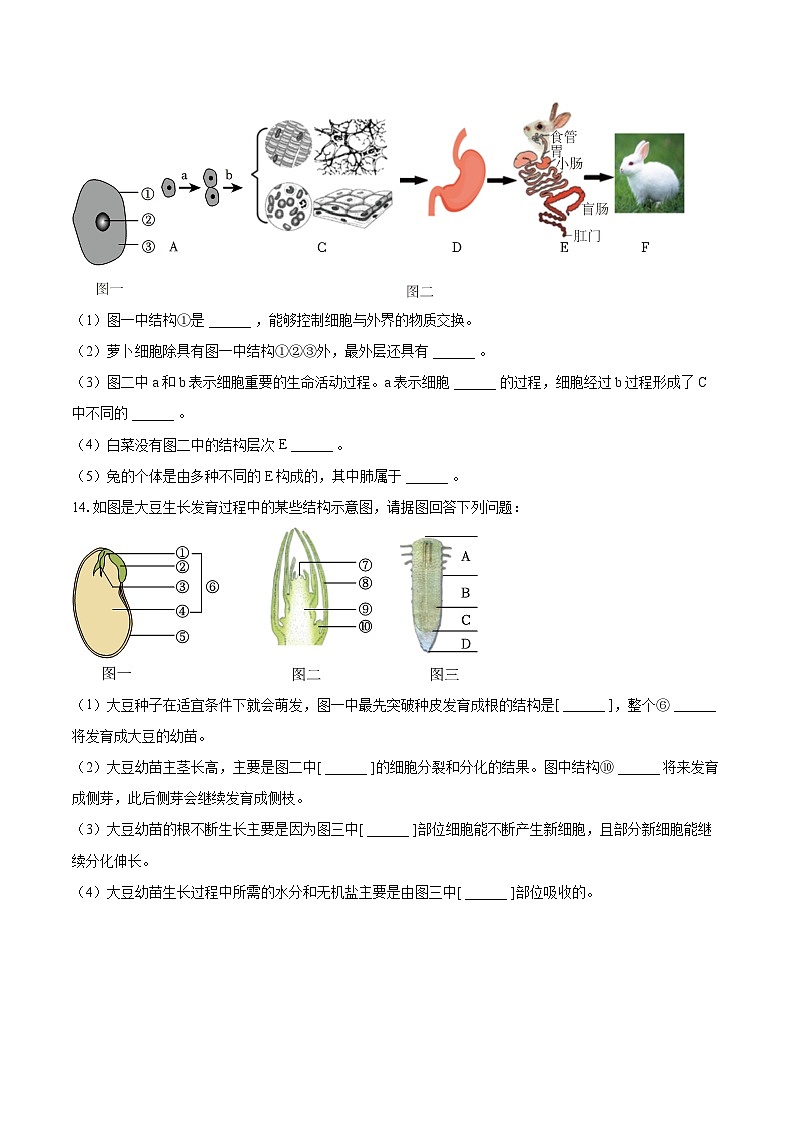 2022-2023学年辽宁省抚顺市东洲区七年级（上）期末生物试卷（含答案解析）03