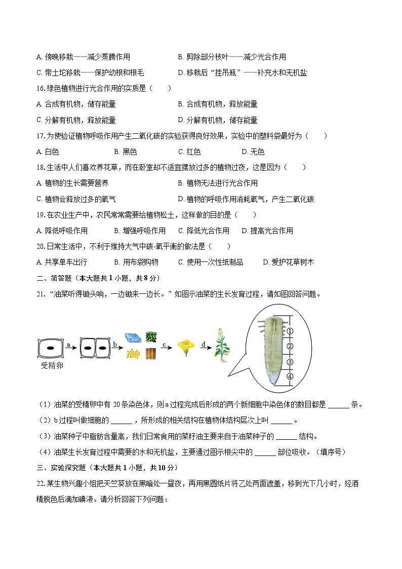 2022-2023学年江苏省盐城市滨海县七年级（上）期末生物试卷（含答案解析）03