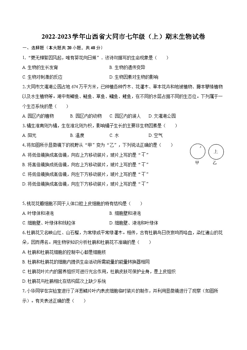 2022-2023学年山西省大同市七年级（上）期末生物试卷（含答案解析）01