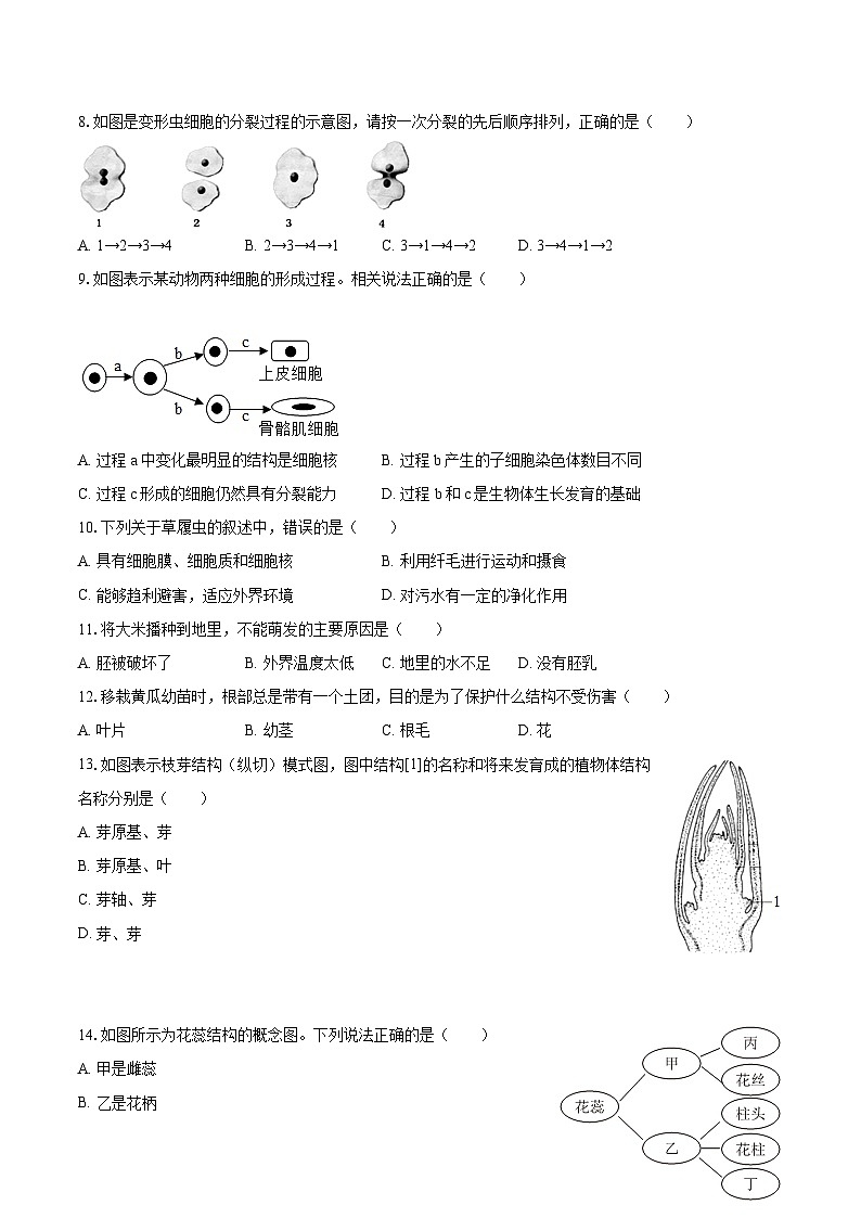 2022-2023学年辽宁省鞍山市铁西区七年级（上）期末生物试卷（含答案解析）02