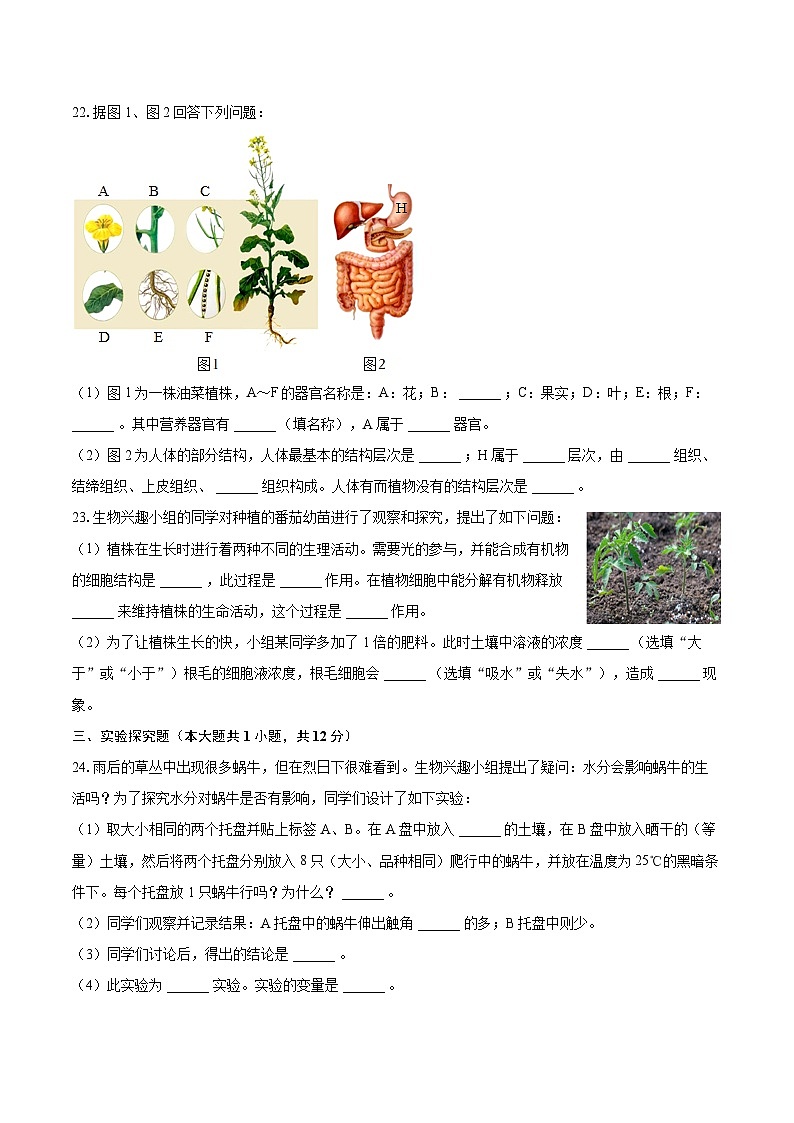 2022-2023学年河北省廊坊市大城县七年级（上）期末生物试卷（含答案解析）03