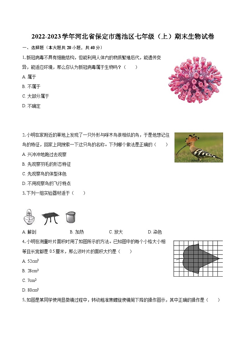 2022-2023学年河北省保定市莲池区七年级（上）期末生物试卷（含答案解析）01