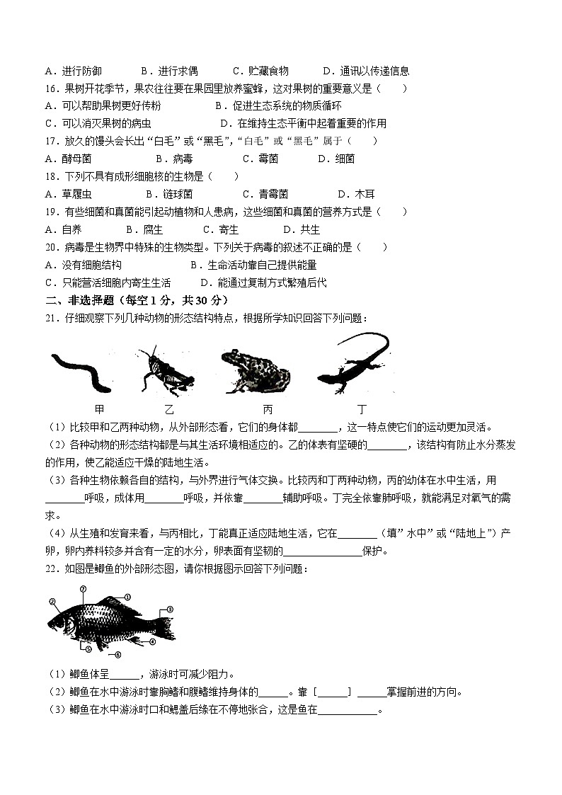 河南省商丘市夏邑县2023-2024学年八年级上学期期中生物试题第2页