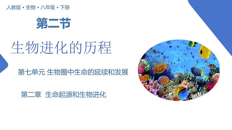 【核心素养】人教版八年级下册7.3.2《生物进化的历程》课件＋课时练习＋教案（含教学反思）01