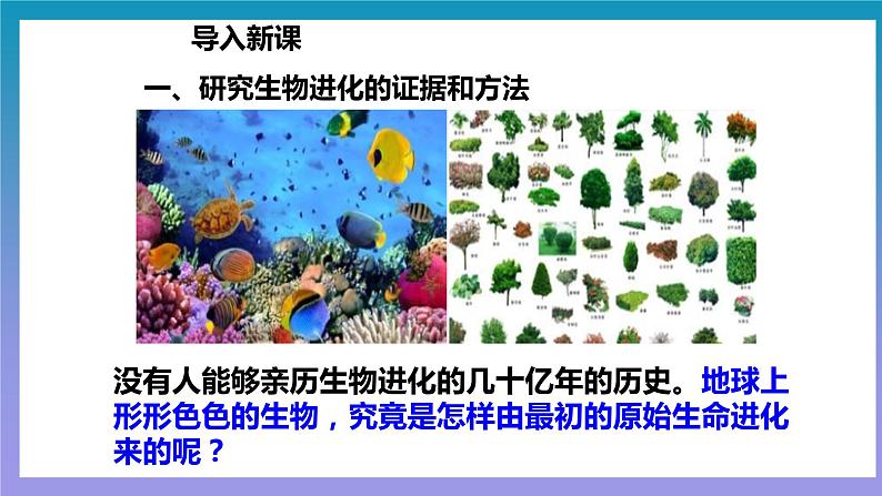 【核心素养】人教版八年级下册7.3.2《生物进化的历程》课件＋课时练习＋教案（含教学反思）04