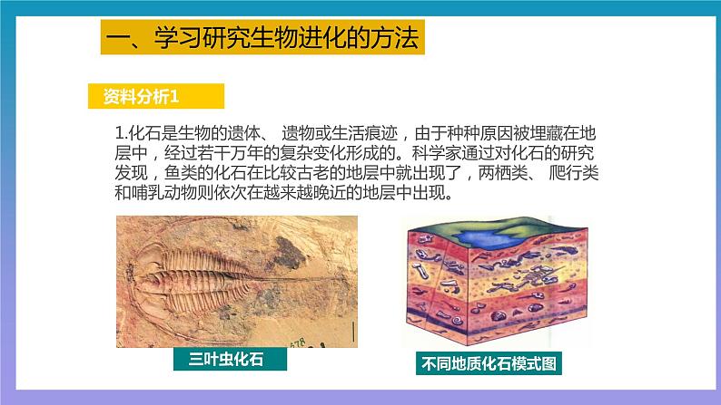 【核心素养】人教版八年级下册7.3.2《生物进化的历程》课件＋课时练习＋教案（含教学反思）06