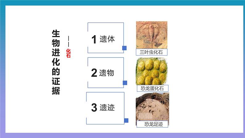 【核心素养】人教版八年级下册7.3.2《生物进化的历程》课件＋课时练习＋教案（含教学反思）07