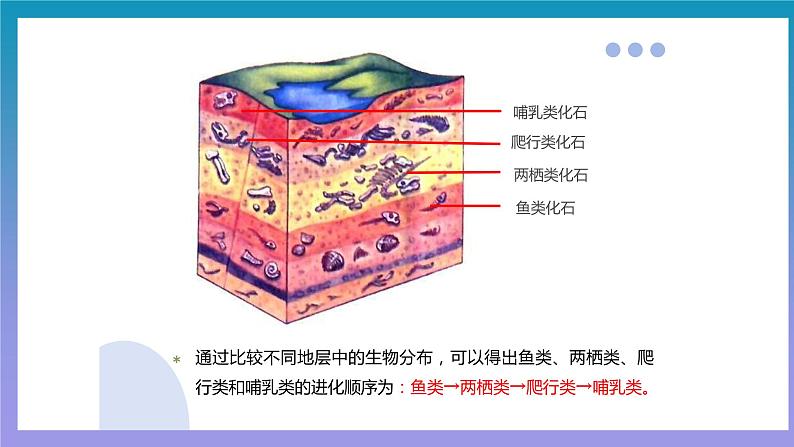 【核心素养】人教版八年级下册7.3.2《生物进化的历程》课件＋课时练习＋教案（含教学反思）08