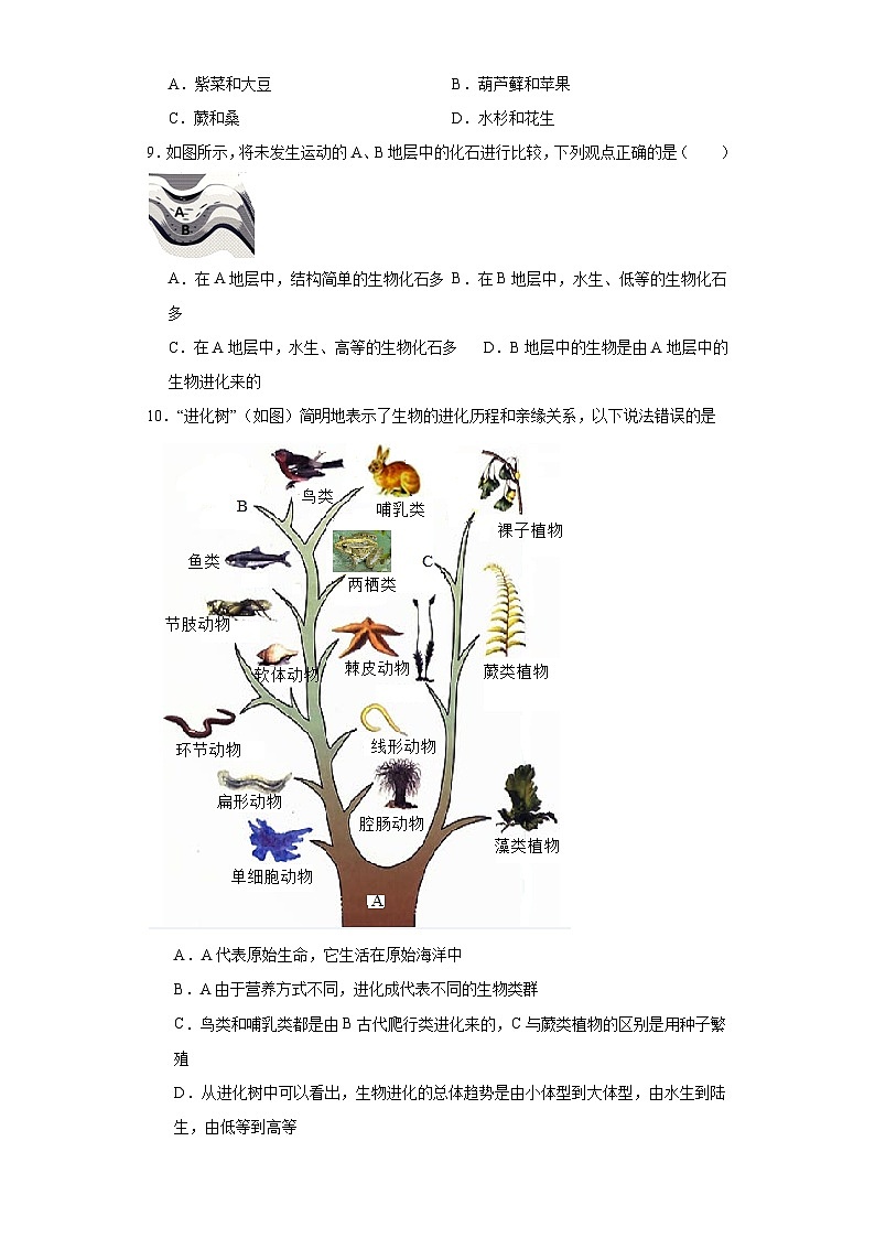 【核心素养】人教版八年级下册7.3.2《生物进化的历程》课件＋课时练习＋教案（含教学反思）02