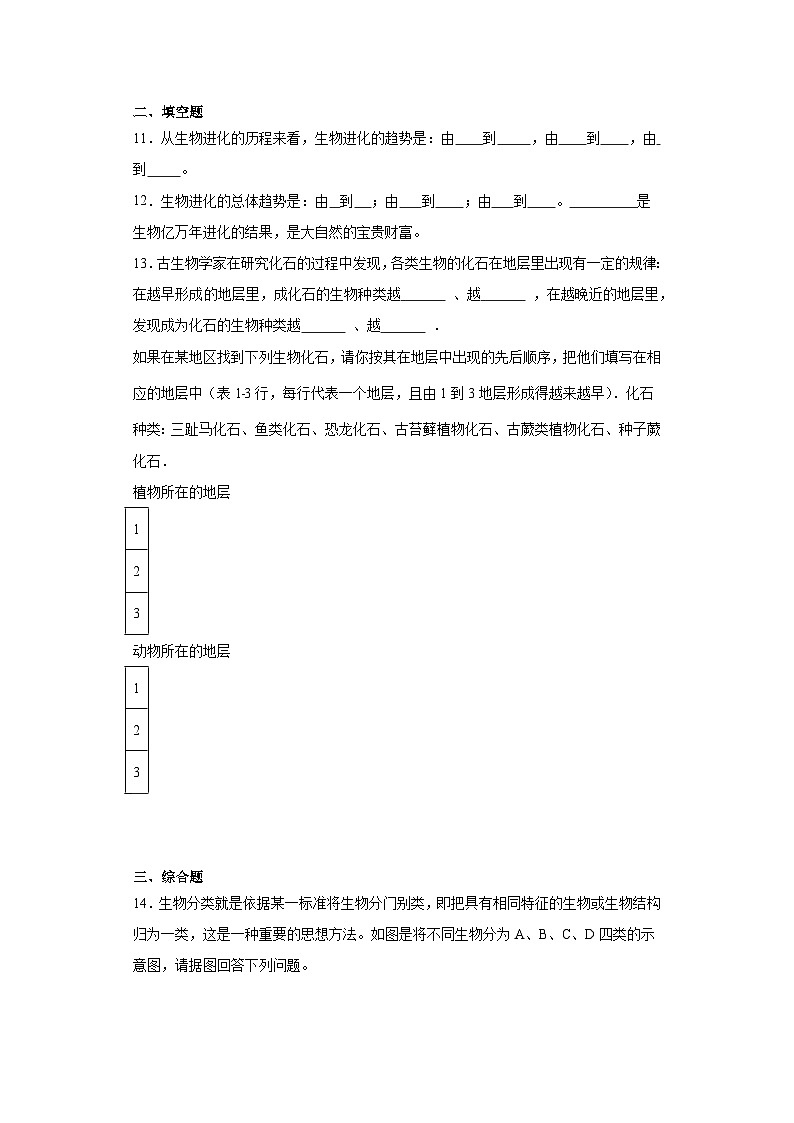 【核心素养】人教版八年级下册7.3.2《生物进化的历程》课件＋课时练习＋教案（含教学反思）03