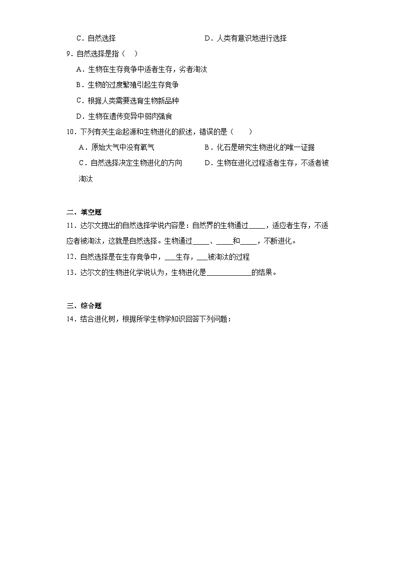 【核心素养】人教版八年级下册7.3.3《生物进化的原因》课件＋课时练习＋教案（含教学反思）02