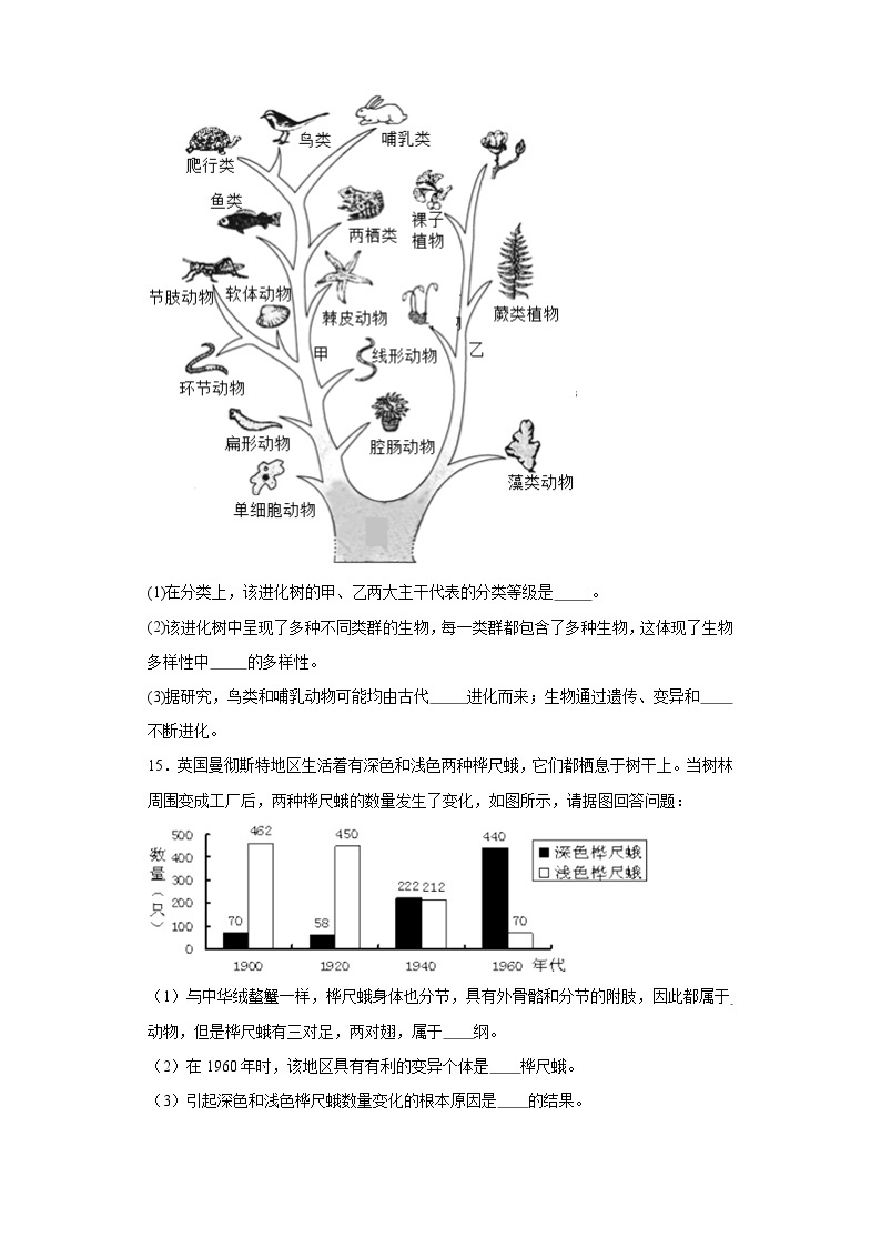 【核心素养】人教版八年级下册7.3.3《生物进化的原因》课件＋课时练习＋教案（含教学反思）03