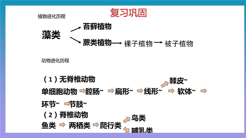 【核心素养】人教版八年级下册7.3.3《生物进化的原因》课件＋课时练习＋教案（含教学反思）04