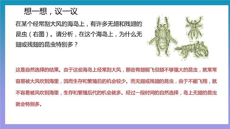 【核心素养】人教版八年级下册7.3.3《生物进化的原因》课件＋课时练习＋教案（含教学反思）05