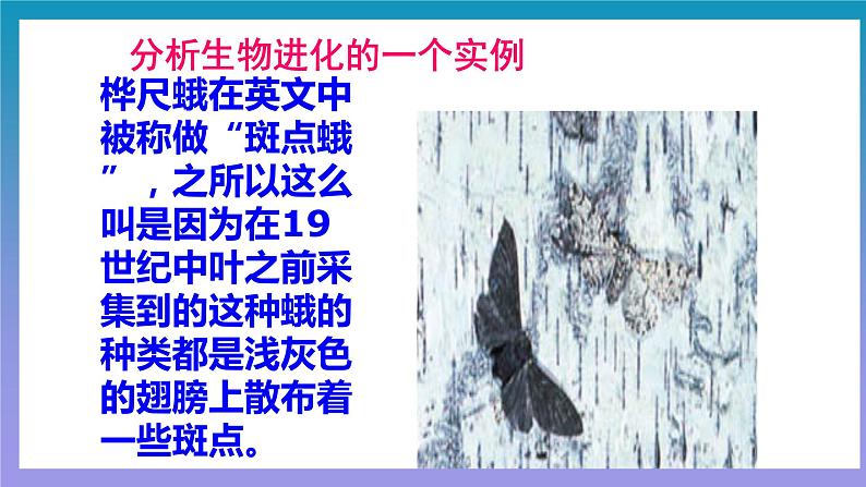 【核心素养】人教版八年级下册7.3.3《生物进化的原因》课件＋课时练习＋教案（含教学反思）06