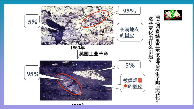 【核心素养】人教版八年级下册7.3.3《生物进化的原因》课件＋课时练习＋教案（含教学反思）07