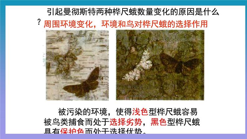 【核心素养】人教版八年级下册7.3.3《生物进化的原因》课件＋课时练习＋教案（含教学反思）08