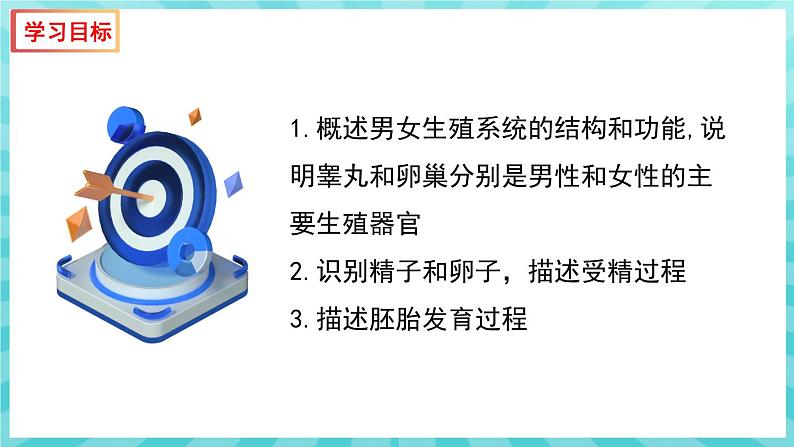 8.1 精卵结合孕育新的生命 课件—2023---2024学年苏教版生物七年级下册03