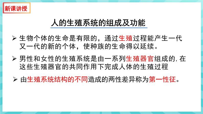 8.1 精卵结合孕育新的生命 课件—2023---2024学年苏教版生物七年级下册04