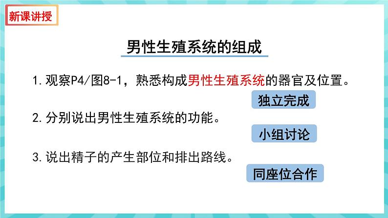 8.1 精卵结合孕育新的生命 课件—2023---2024学年苏教版生物七年级下册05