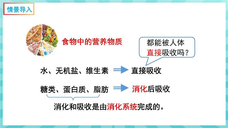 9.2 人体的消化与吸收（第1课时） 课件—2023---2024学年苏教版生物七年级下册02