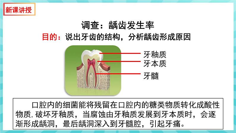 9.2 人体的消化与吸收（第1课时） 课件—2023---2024学年苏教版生物七年级下册07