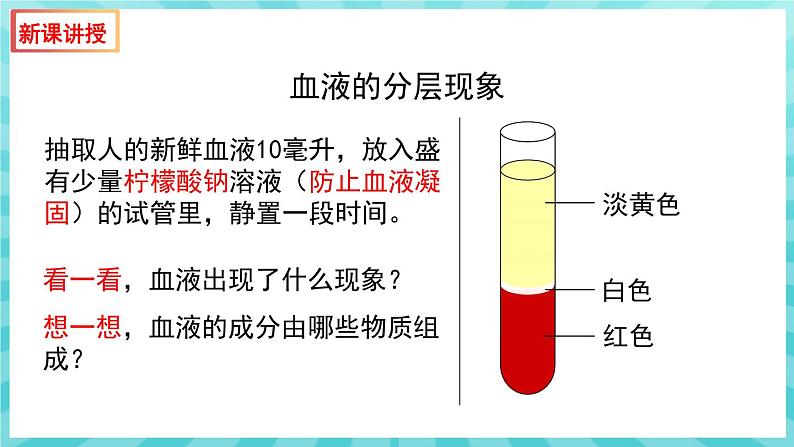 10.1 血液和血型（第1课时） 课件—2023---2024学年苏教版生物七年级下册05