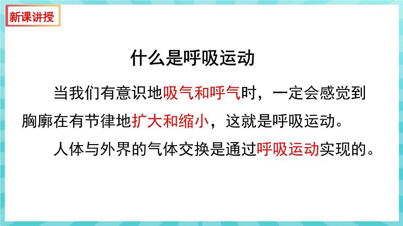 10.3 人体和外界环境的气体交换（第2课时）课件—2023---2024学年苏教版生物七年级下册04