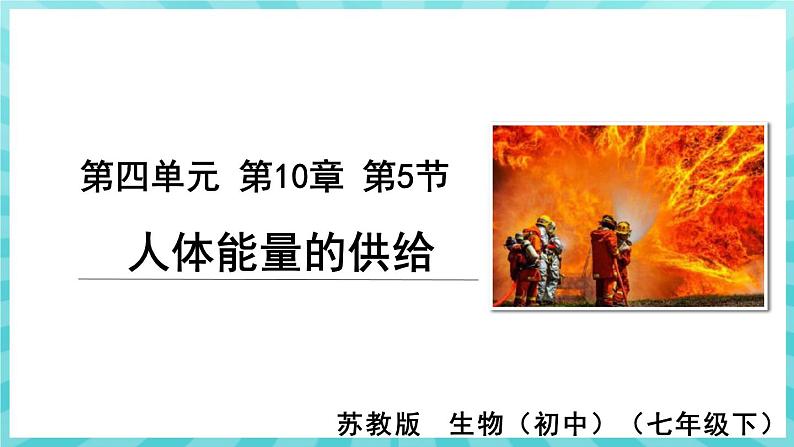 10.5 人体能量的供给 课件—2023---2024学年苏教版生物七年级下册01