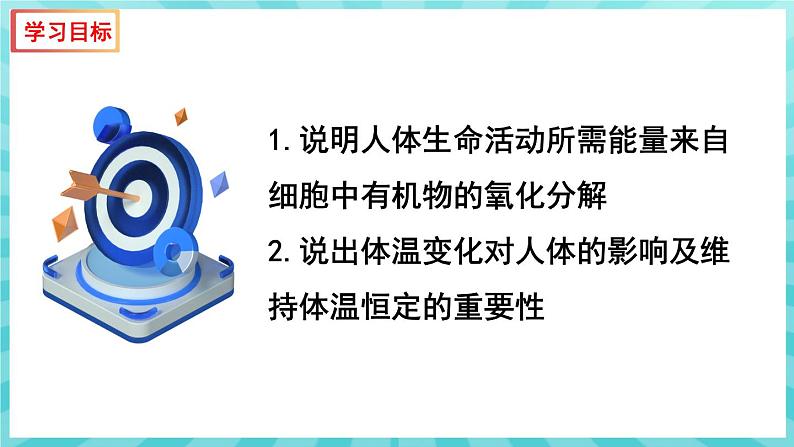 10.5 人体能量的供给 课件—2023---2024学年苏教版生物七年级下册04