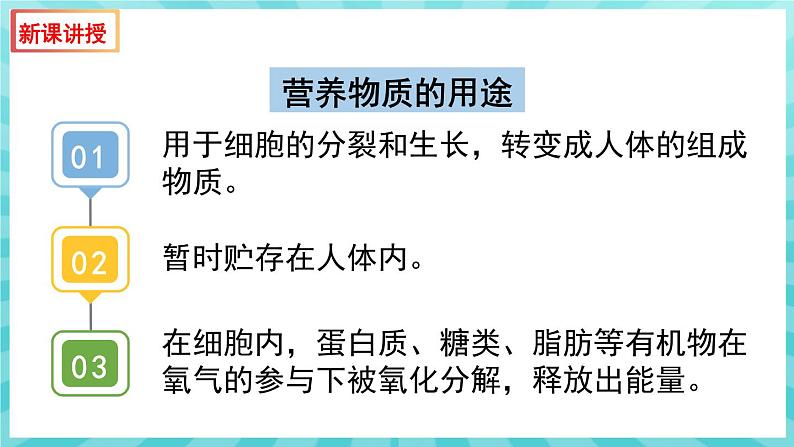 10.5 人体能量的供给 课件—2023---2024学年苏教版生物七年级下册05