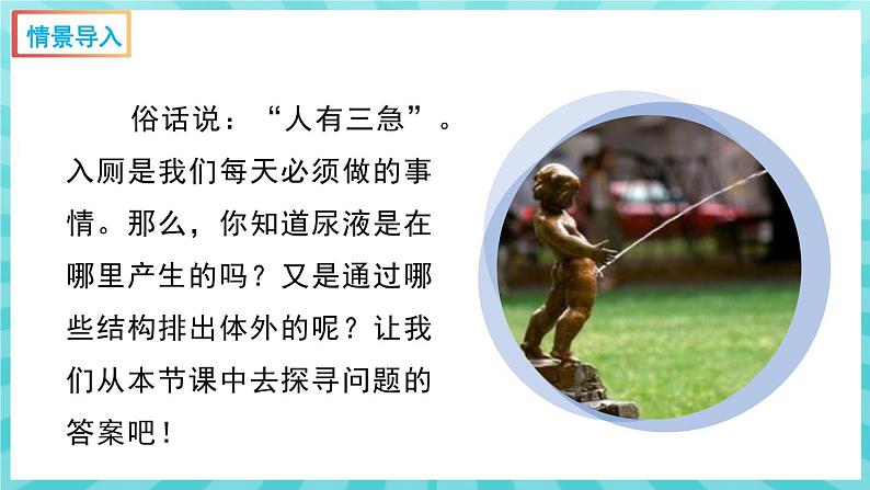 11.1 人体泌尿系统的组成 课件—2023---2024学年苏教版生物七年级下册第2页