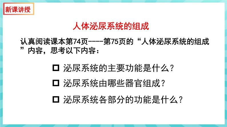 11.1 人体泌尿系统的组成 课件—2023---2024学年苏教版生物七年级下册第4页