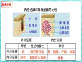 12.1 人体的激素调节 课件—2023---2024学年苏教版生物七年级下册