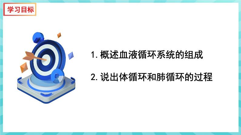 10.2 人体的血液循环 (第2课时)课件—2023---2024学年苏教版生物七年级下册03