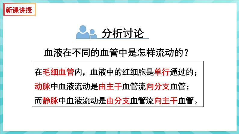 10.2 人体的血液循环 (第2课时)课件—2023---2024学年苏教版生物七年级下册08