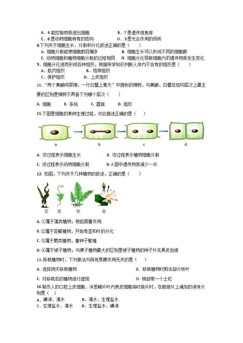 山东省菏泽市巨野县2023-2024学年七年级上学期期中考试生物试题02