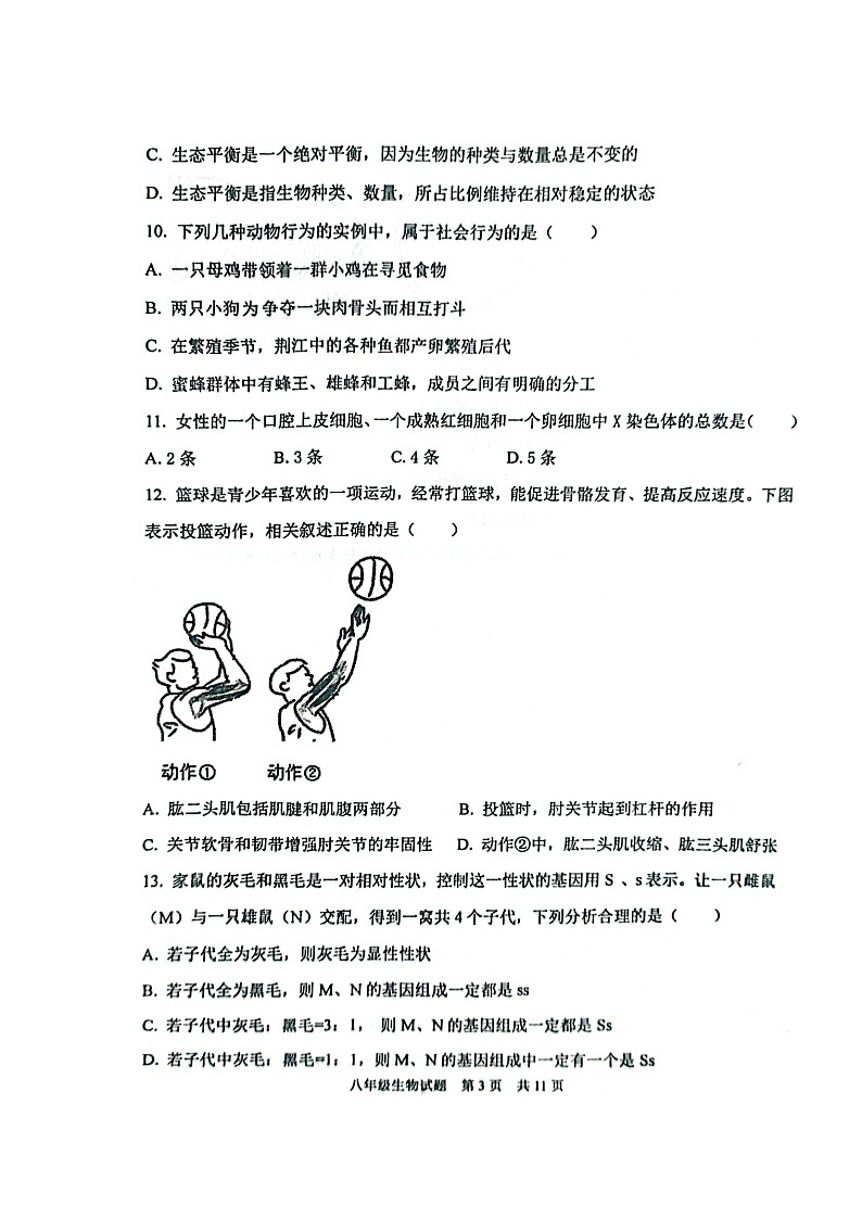 山东省东营市利津县2023-2024学年八年级上学期12月考生物试题03